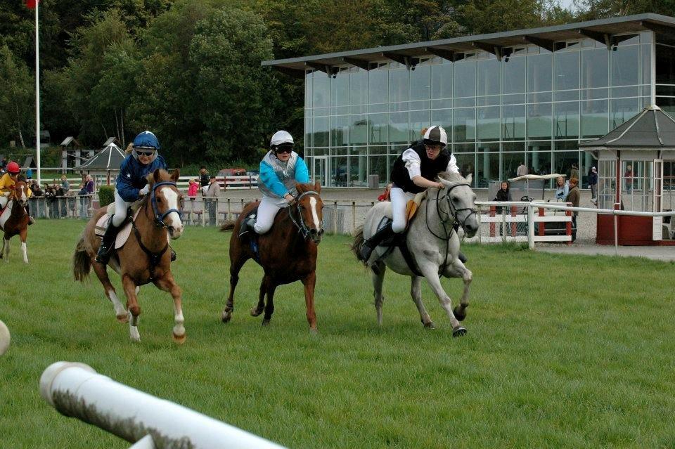 Anden særlig race Amadeus *Ama* - Opløbet til DM 2010 billede 3