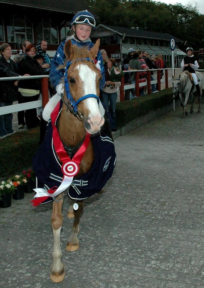 Anden særlig race Amadeus *Ama* - DM for kat 2 2010 billede 14