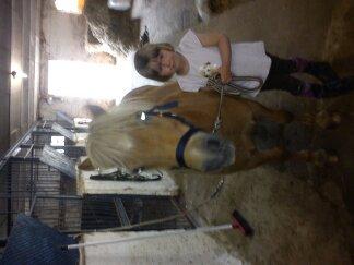 Shetlænder Frederik - Sarah og Frederik! billede 16