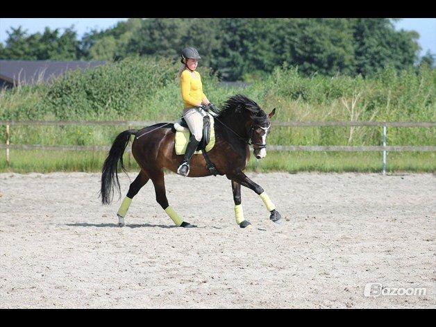 Anden særlig race Aicha - Det er tidligere ejer Laura der rider hende, har ikke selv fået taget nogle billeder endnu med mig på ryggen..;) billede 8