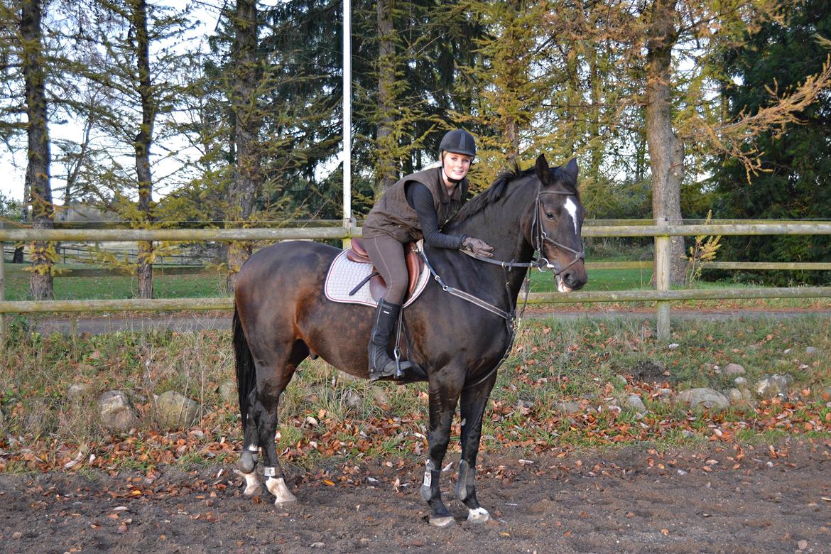 Anden særlig race Toftegård's Bounty [Min part] billede 4