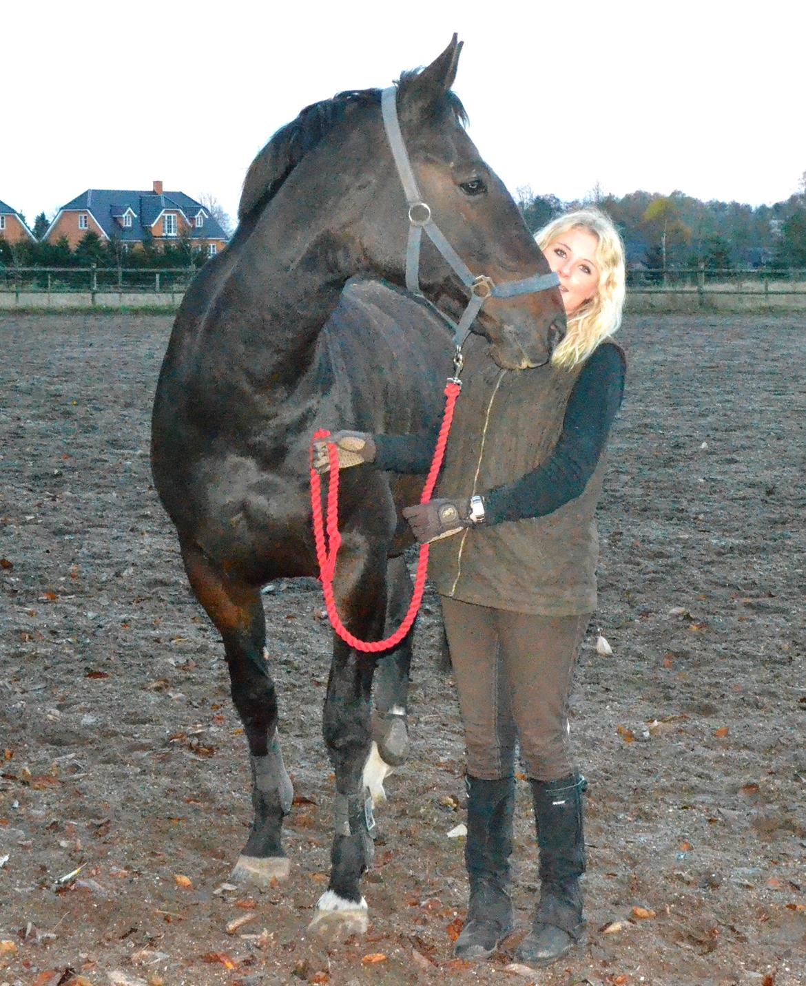 Anden særlig race Toftegård's Bounty [Min part] billede 7