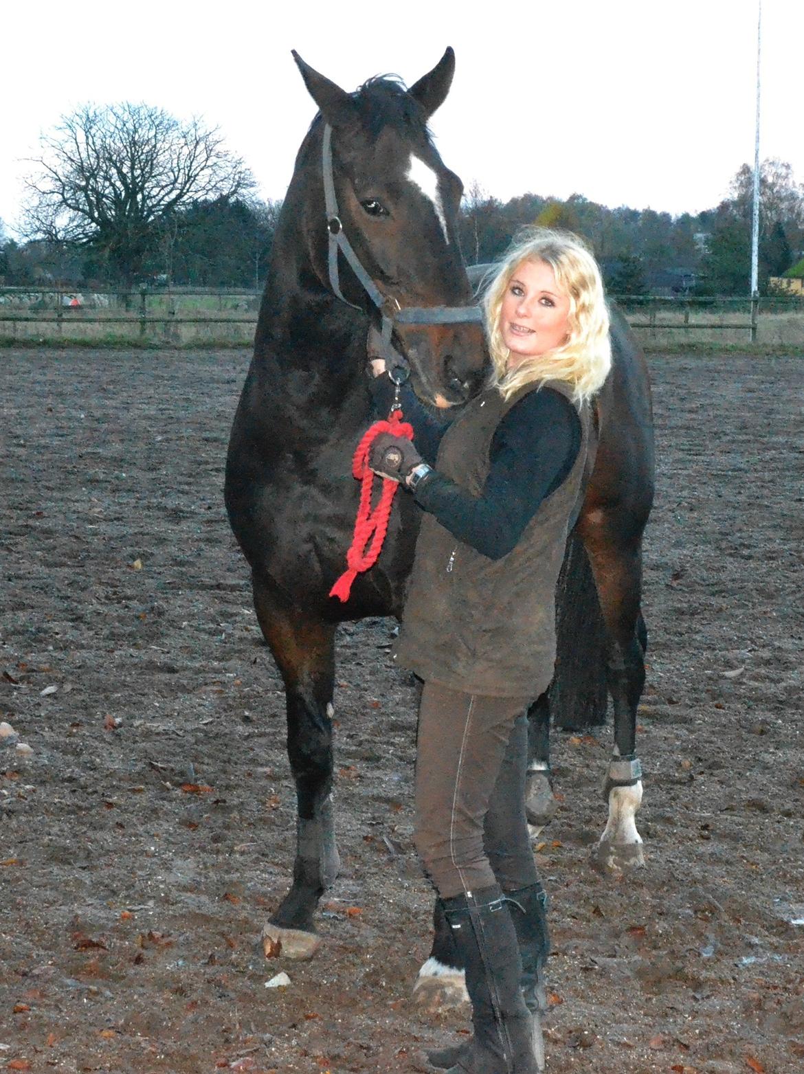 Anden særlig race Toftegård's Bounty [Min part] billede 8