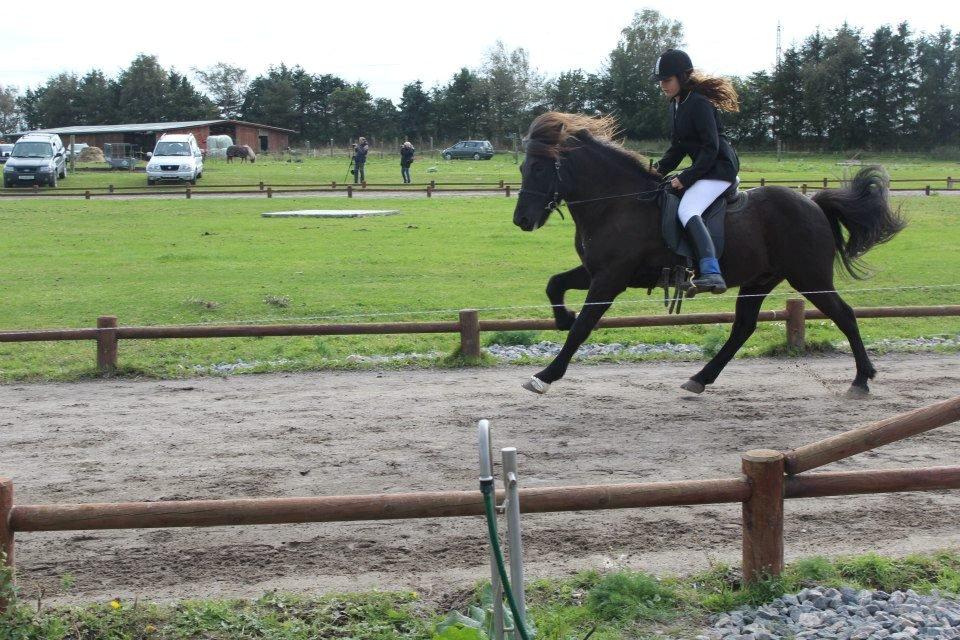 Islænder Pati fra Blesastödum - Nyt<3
Boblestævnet 2012<3
Galop. billede 2