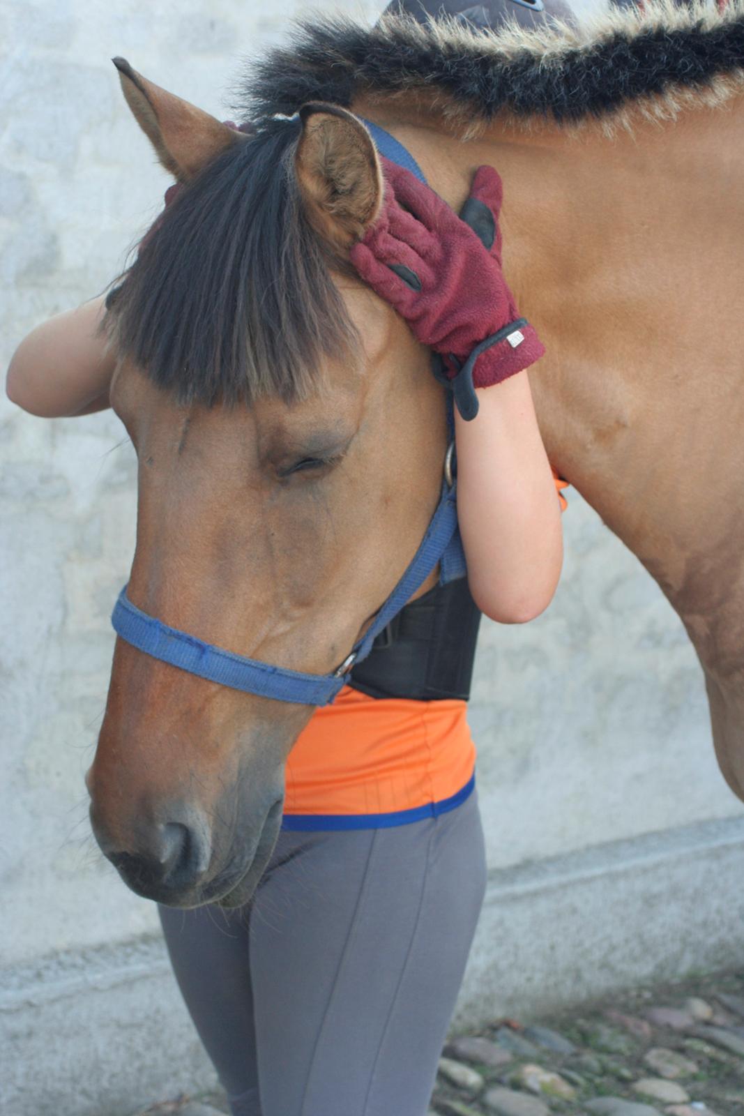 Anden særlig race Luna  - Tænk at du er min! <3 billede 6