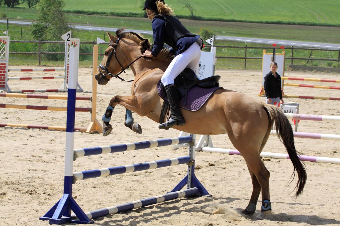 Anden særlig race Luna  - Højt over skyen, langt over byen tog du mig med... 
Himlen ku nå dig og stjernerne så mig, falde ned <3 billede 18