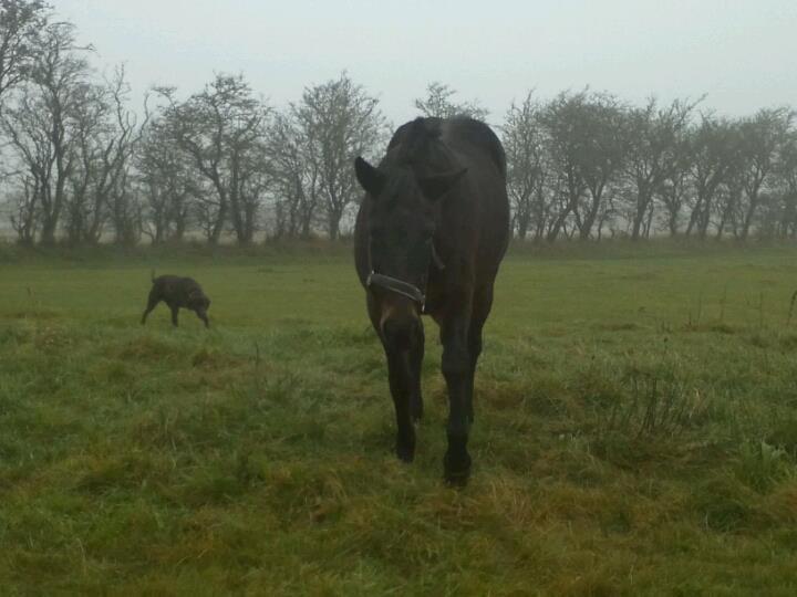 Anden særlig race Lotte!<3:) - Her kommer jeg!<3:) billede 8