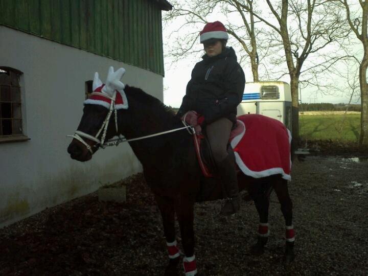 Anden særlig race Lotte!<3:) - Mig og min elskede pony`s første jul sammen JEG ELSKER DIG !!!<3<3:).. billede 9