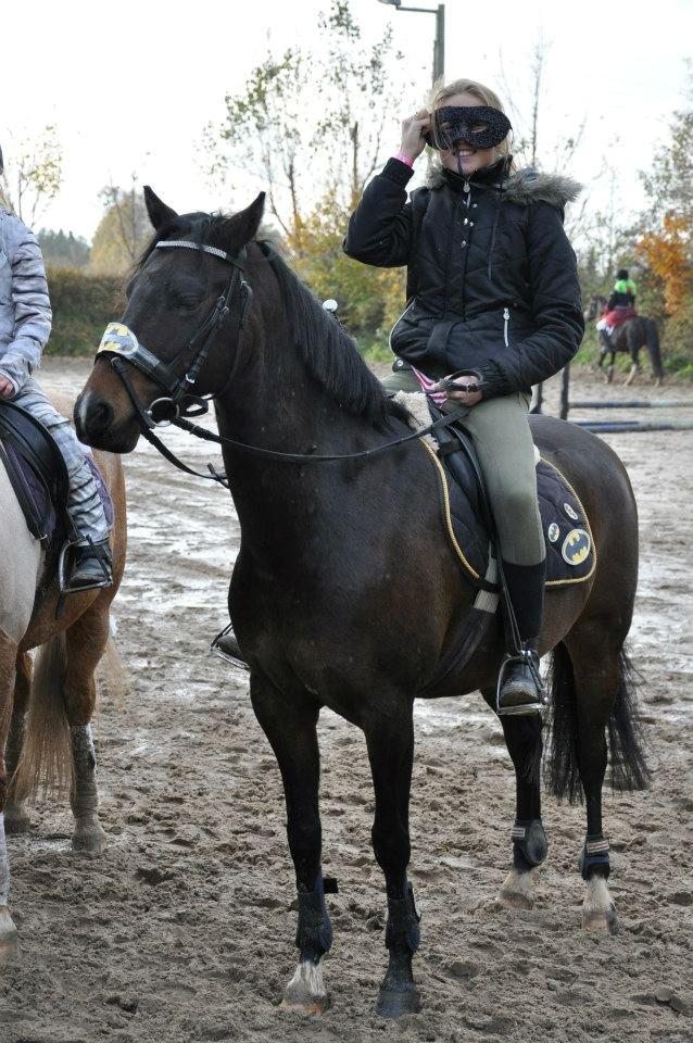 DSP Batman billede 7