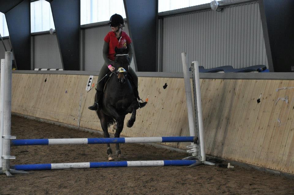 DSP Batman billede 8