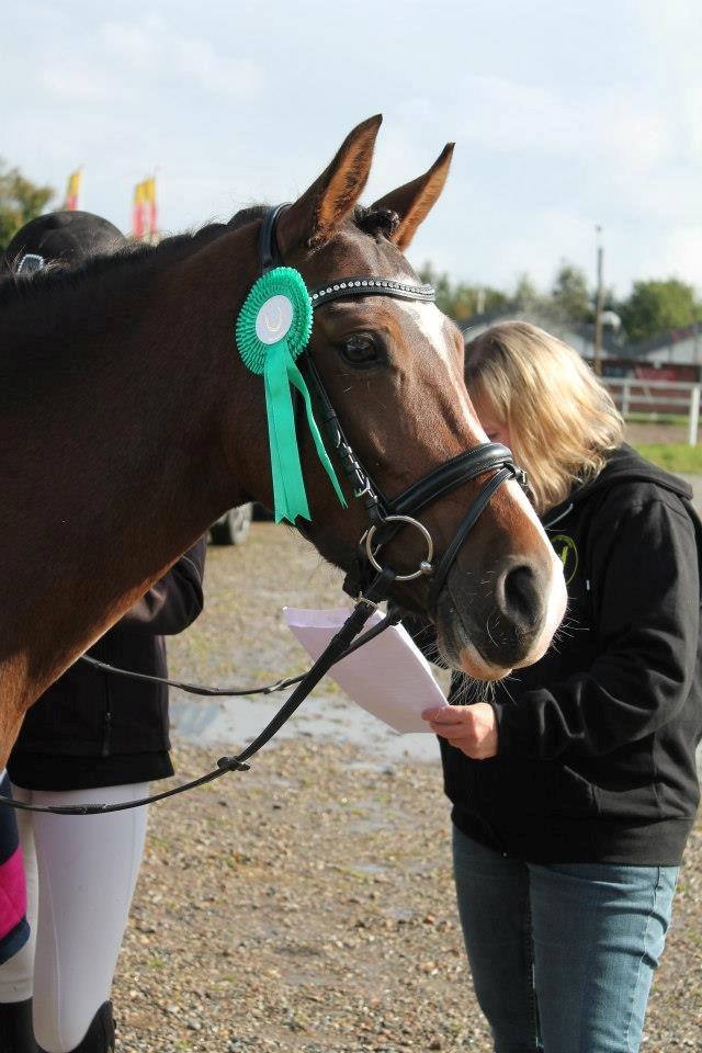 Anden særlig race Bonette  - Guffe guf... Det er min pony ;) 4 plads i LA1 :-)  billede 15