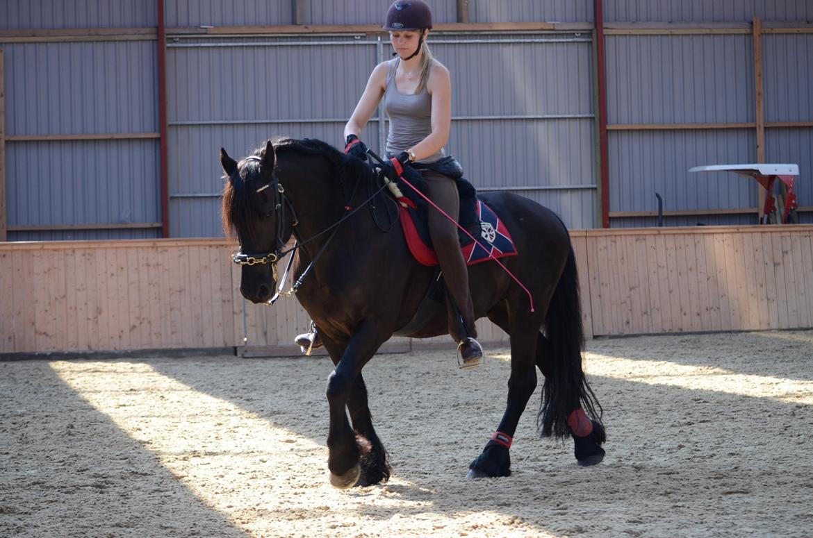 Frieser Zorro - Kursus v. Michelle Wolf uge 30, 2012 billede 5