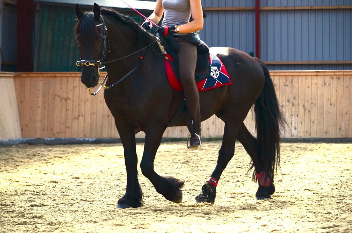 Frieser Zorro - Kursus v. Michelle Wolf uge 30, 2012 billede 8