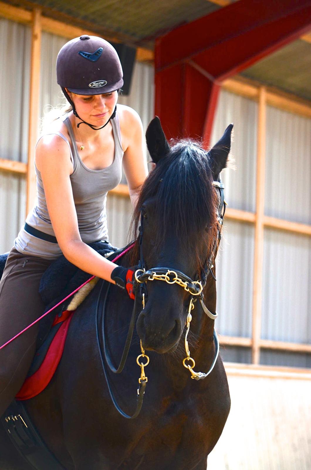 Frieser Zorro - Kursus v. Michelle Wolf uge 30, 2012 billede 9