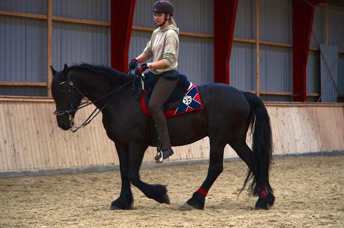 Frieser Zorro - Kursus v. Michelle Wolf uge 30, 2012 billede 11