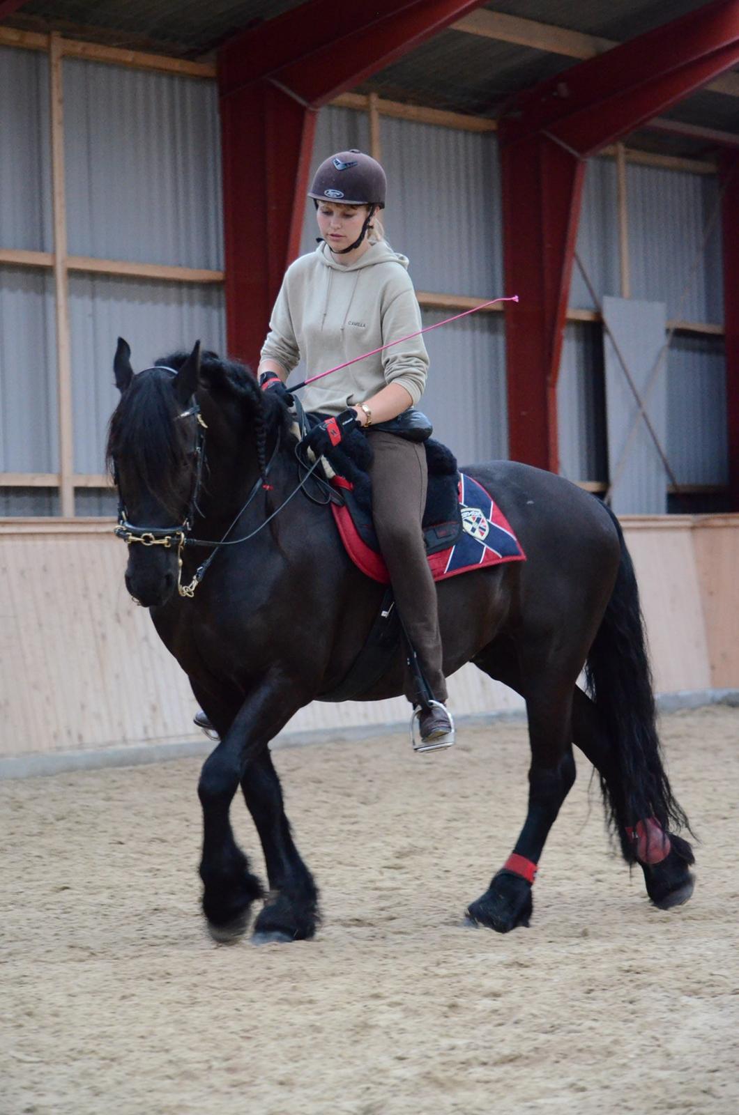 Frieser Zorro - Kursus v. Michelle Wolf uge 30, 2012 billede 12