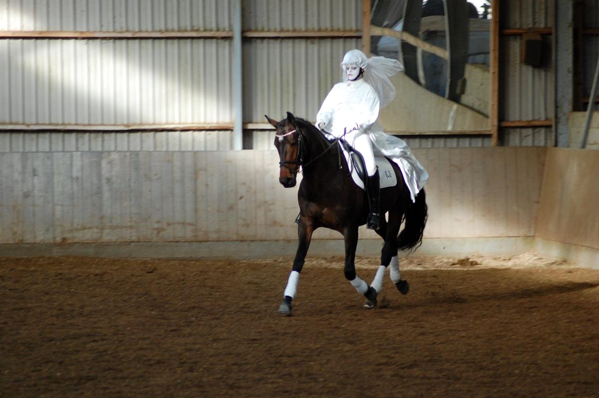 Trakehner Turned Up At Noon - Halloween stævne d. 3/11 2012. - Klædt ud som dødens brud. 
Vi fik 9 for denne øvelse, og vandt klassen med 82,50% billede 11
