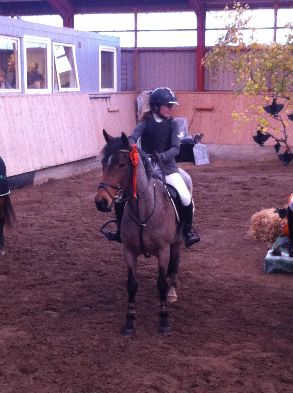 Irsk Sportspony Copper Caramel - LA** Halloween-Cup på Aagerup, vi blev nummer 2 :)
Foto: Mor billede 12