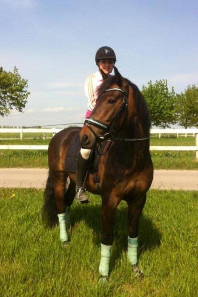 New Forest Romeo's Chicco billede 1