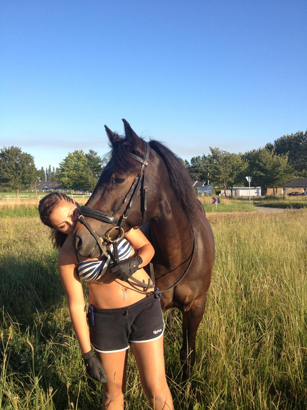 New Forest Romeo's Chicco billede 13