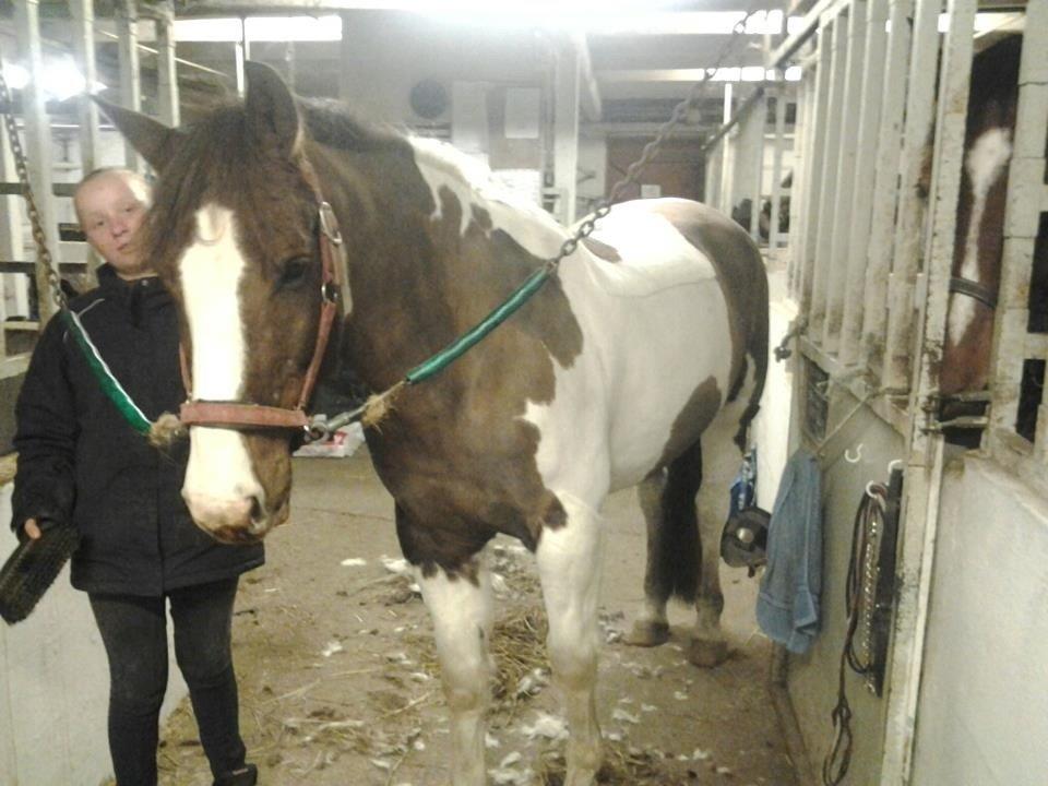 Pinto Handson/Flødebollen<3 - mussen blev klippet<3 billede 9