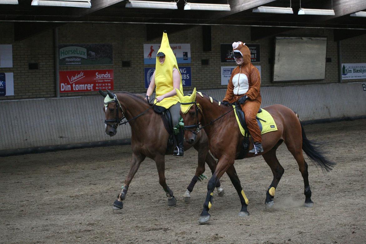 Dansk Varmblod Bøgegårdens Lands-River (Lancelot) - Vores fantastiske kvadrille! Vi havde ikke øvet det én eneste gang inden, men det gik bare PERFEKT alligevel :D Foto: TM billede 9