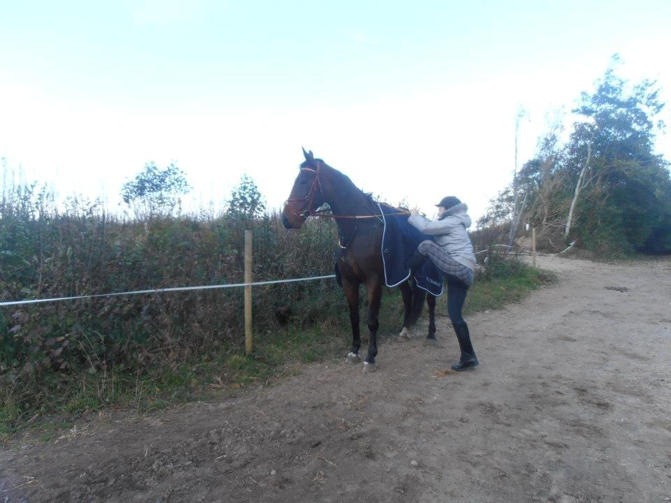 Anden særlig race Kaluha<3  |MinBedsteVen billede 10