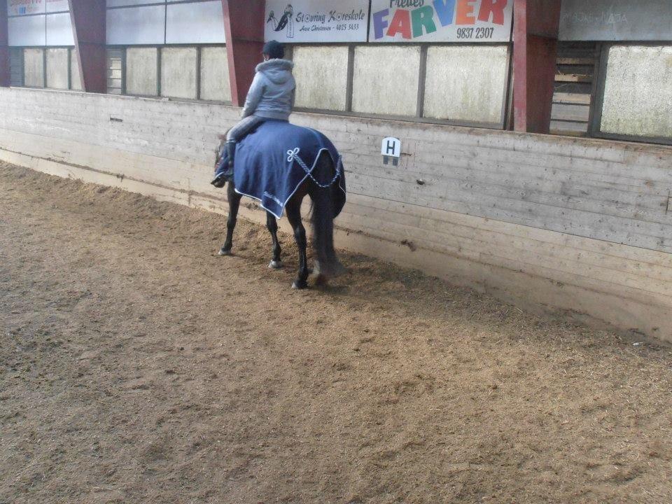 Anden særlig race Kaluha<3  |MinBedsteVen billede 11