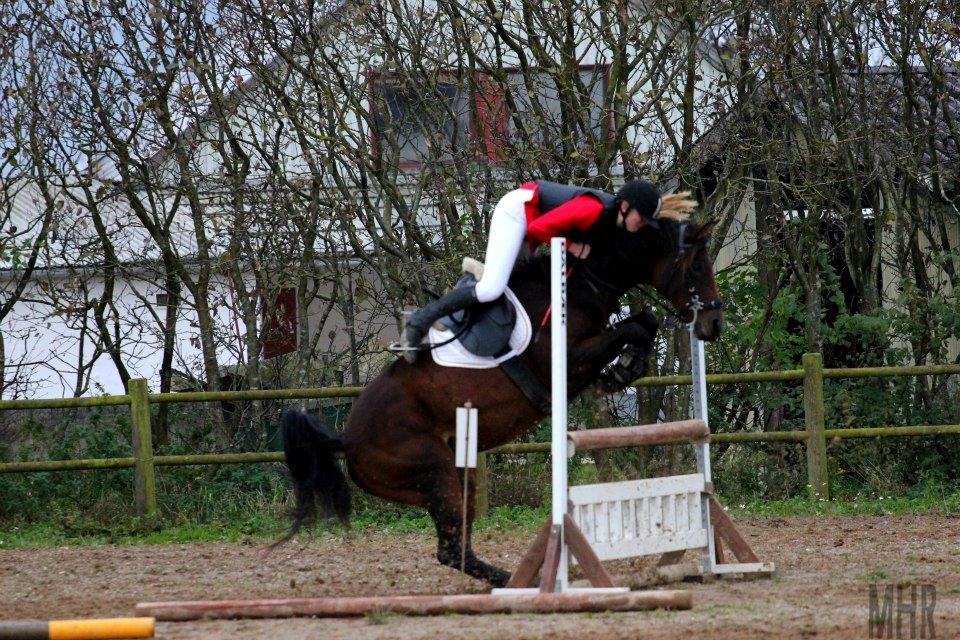 Anglo Araber (AA) Primula Vrå - Hehe, ja rimelig specielt billede x3
- Vandt klassen med 0 i hovedrunde og omspringningen! - Fantastisk tøs!! ♥ billede 13
