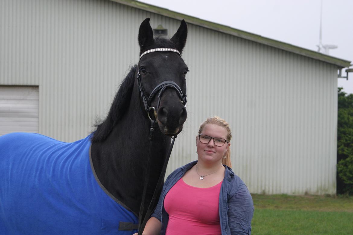 Dansk Varmblod Maygårdens Cordial - Cody <3 - Jeg elsker dig <3 billede 14