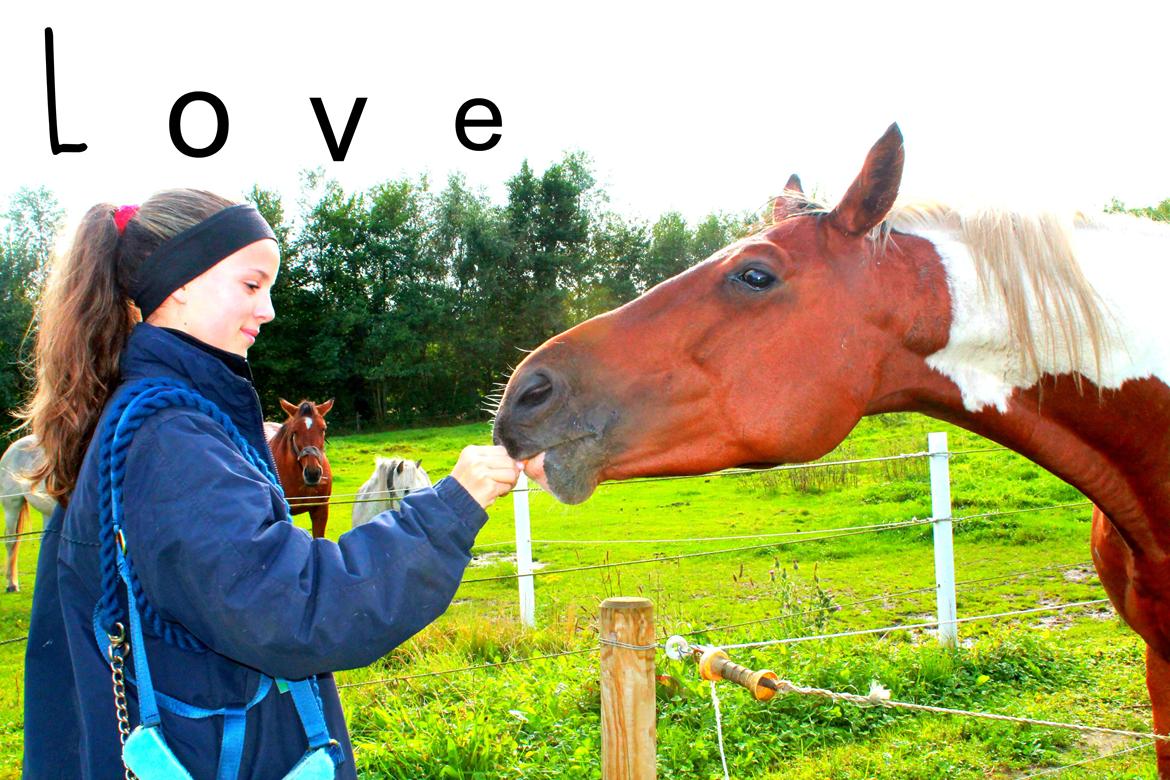 Paint Wild Fire - ” The best and most beautiful things in the world cannot be seen or touched. It must be felt with the heart” billede 7