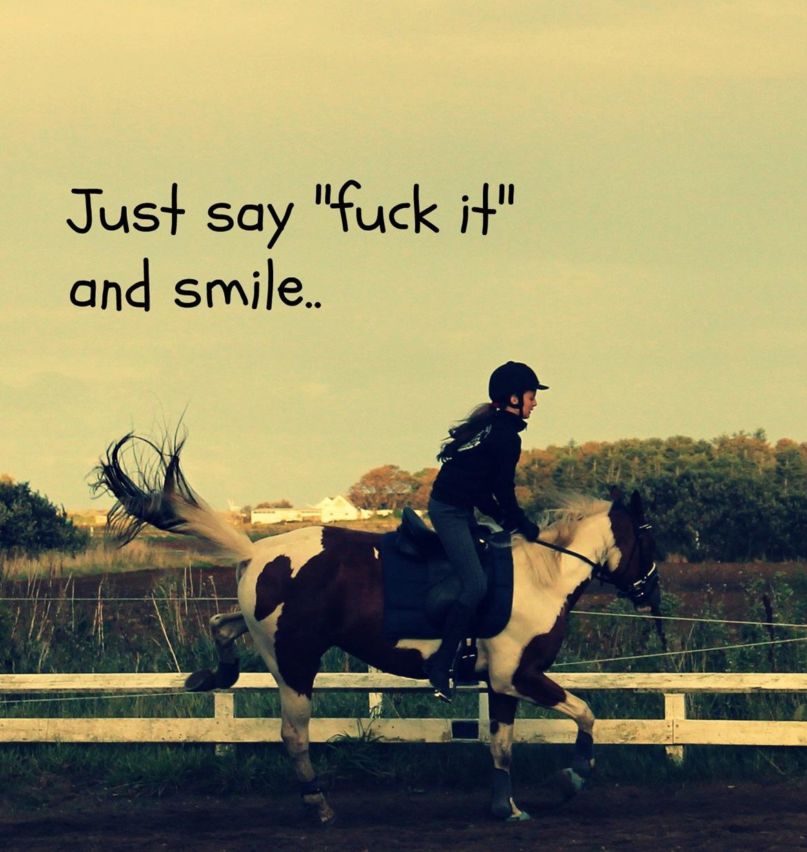 Paint Wild Fire billede 8