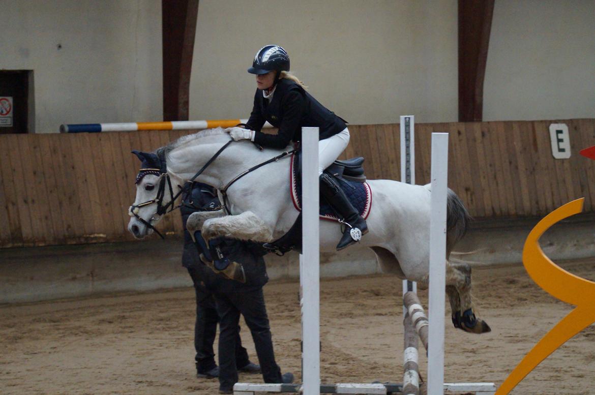 Anden særlig race Jasmin*Solgt )':* <3 - Arden rideklub enten er det LB** eller LA* ? xD billede 3
