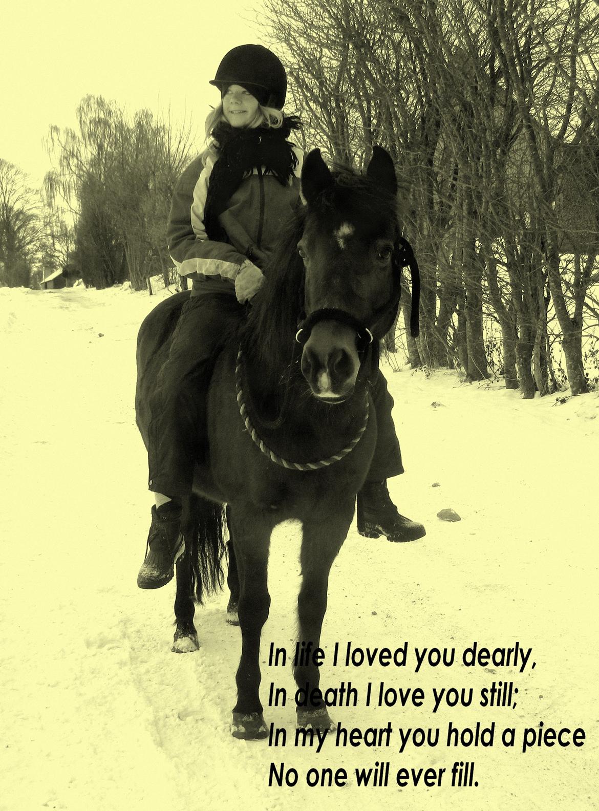 Anden særlig race Pretty - Hvil i fred! billede 18