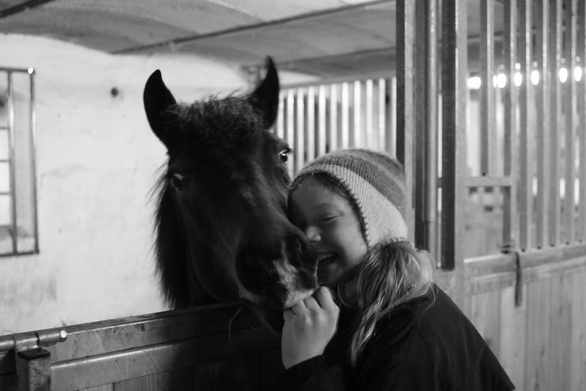 Anden særlig race Pretty - Hvil i fred! billede 19