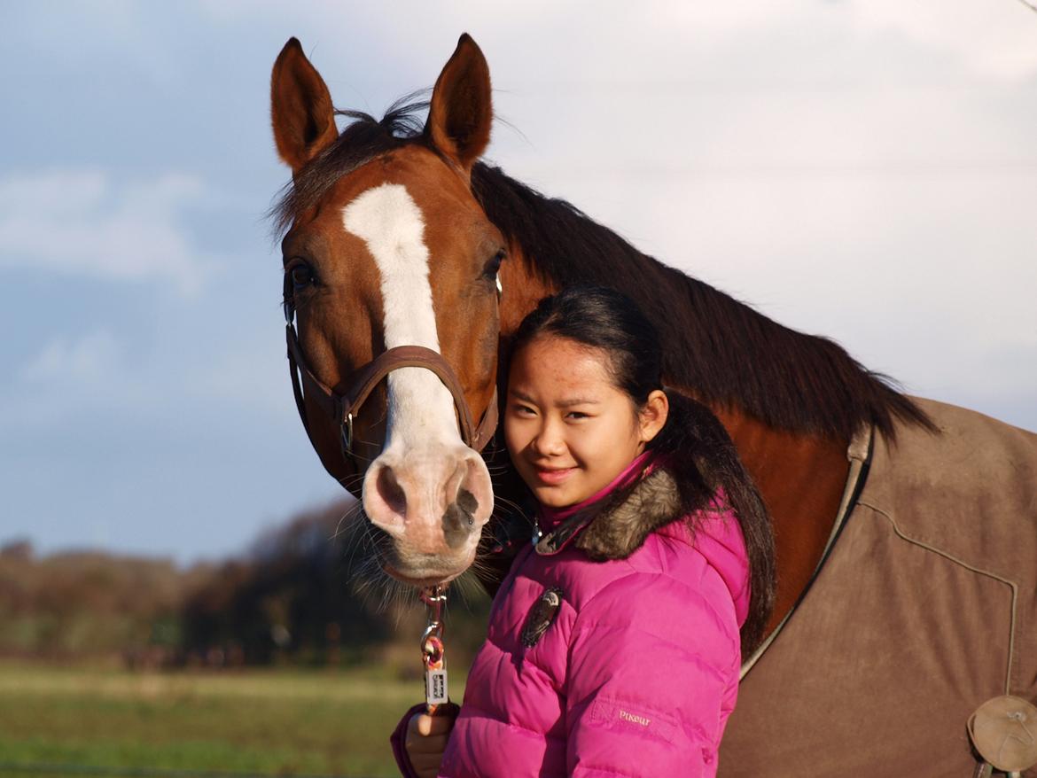 Tysk Sportspony Artos B-pony - Da han lige var kommet til gården d. 3 november 2012 <3 billede 32