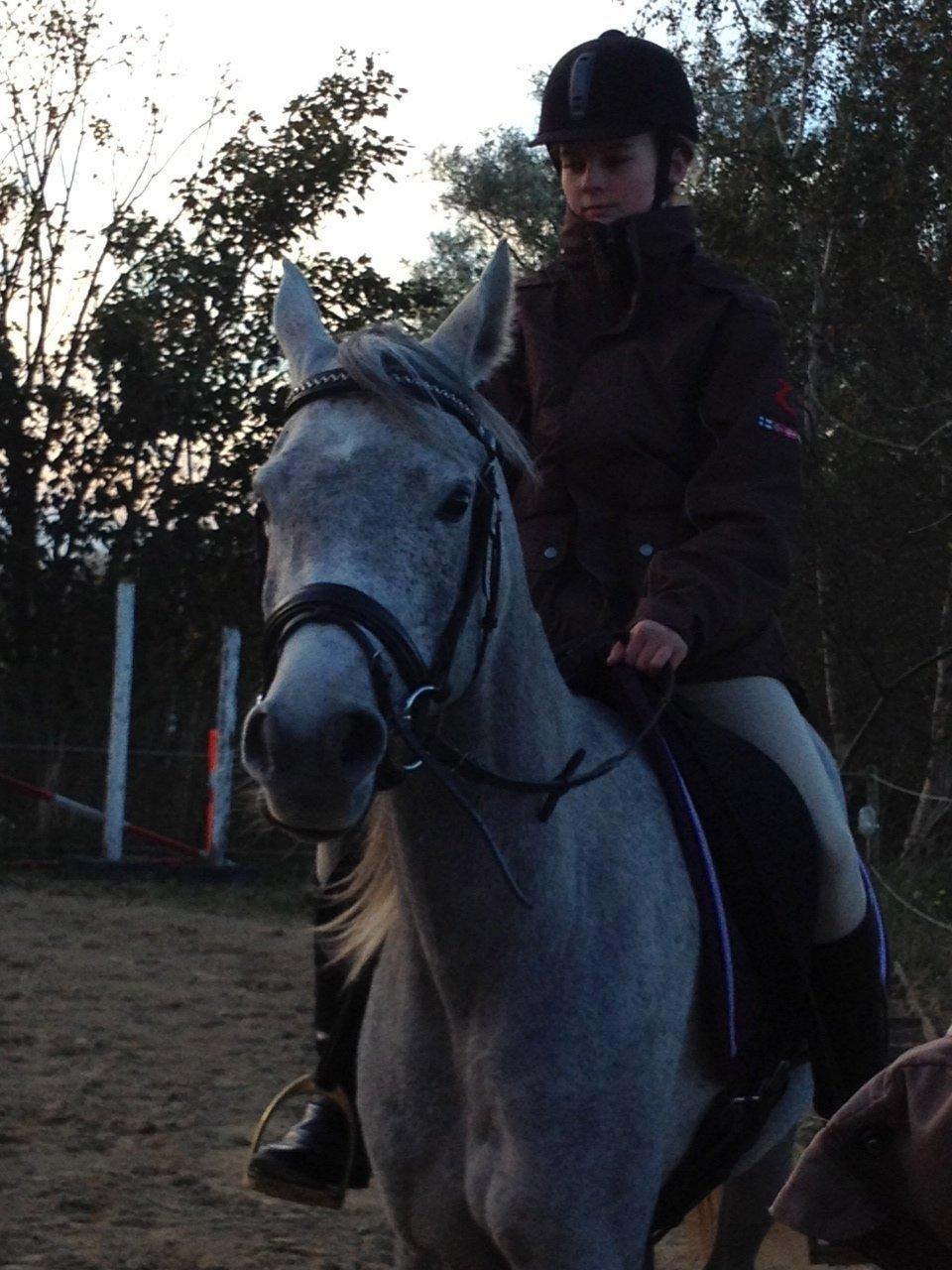 Arabisk fuldblod (OX) Tu Mignosa - Da jeg var ude at prøve hende<3 Foto: Lise Bjørn billede 10