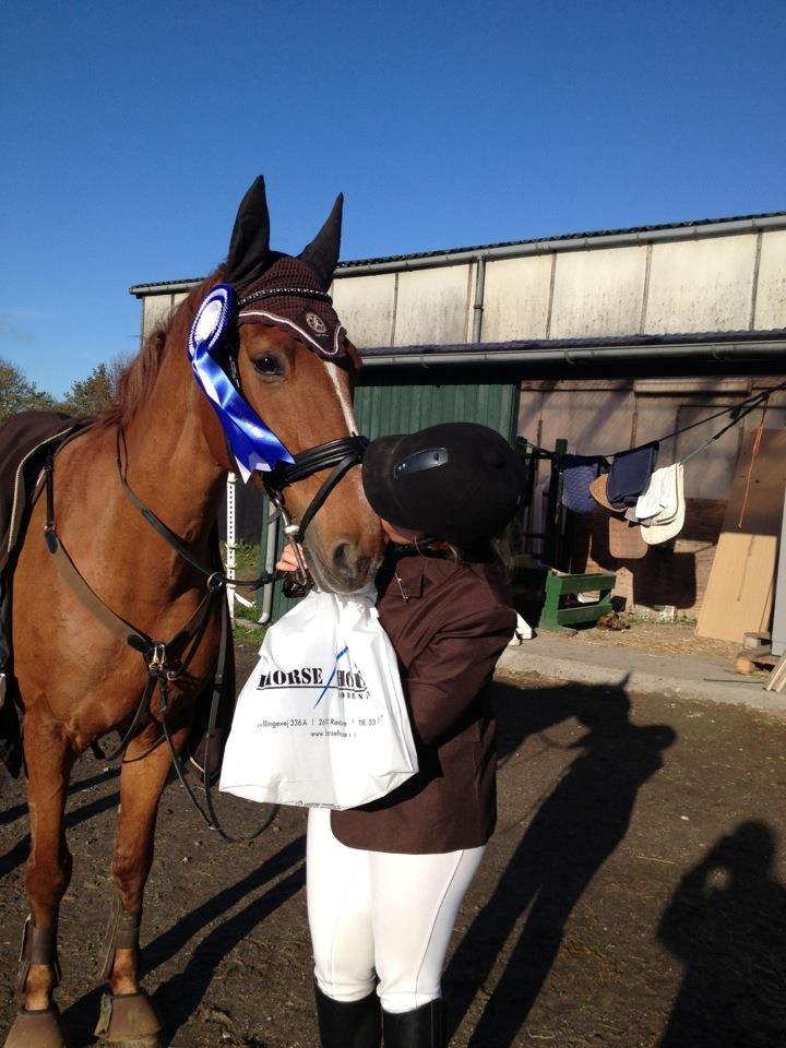 Anden særlig race Magic Lady - Nummer 2 ved vestegnscup finalen LC Hest 2012. billede 18