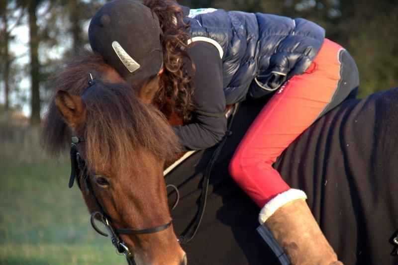 Gotlandsruss Eruss <3 billede 8