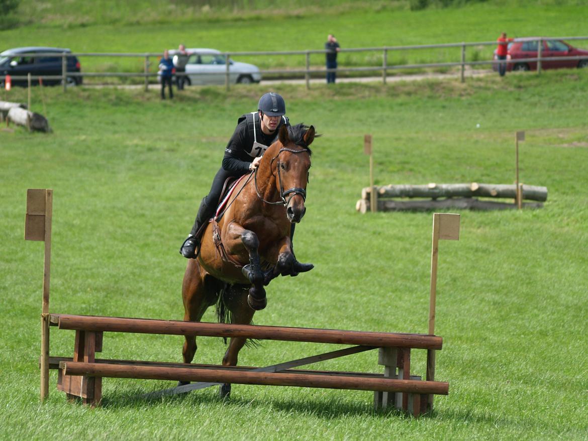 Dansk Varmblod Pinvigs Gambler -FAR's- - Det var flot!
Skårupovergård DM Military 2012, CNC 100
[Fotograf: Katja Gade] billede 16