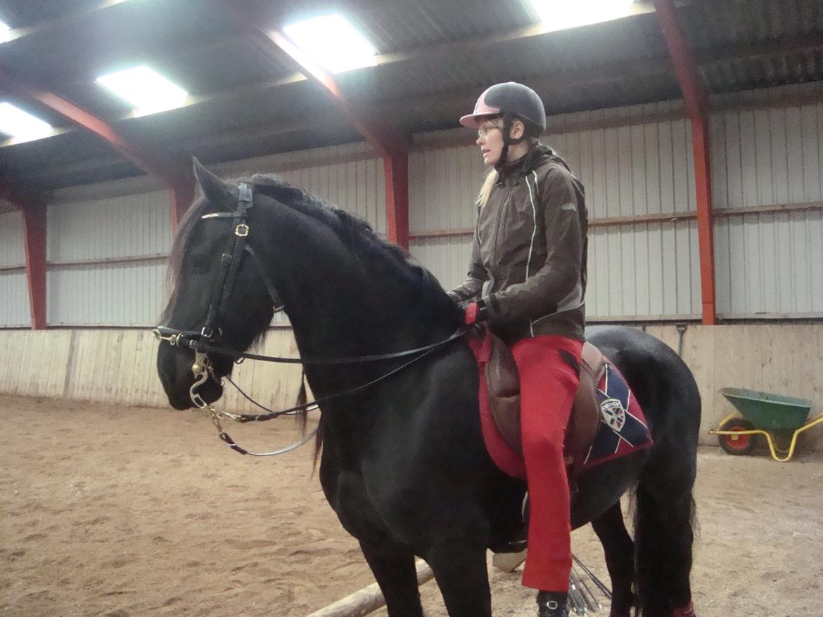 Frieser Zorro - Undervisning v. Michelle Wolf billede 15