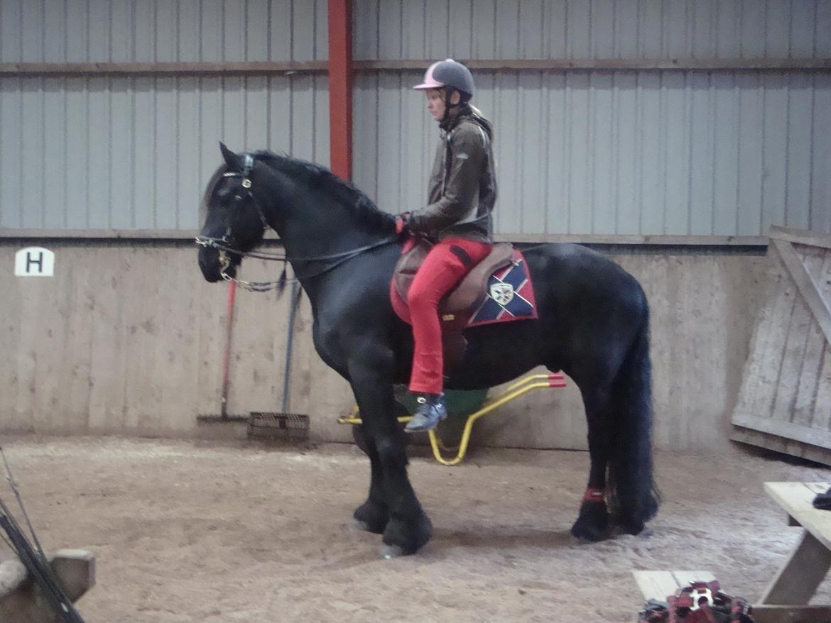 Frieser Zorro - Undervisning v. Michelle Wolf billede 16