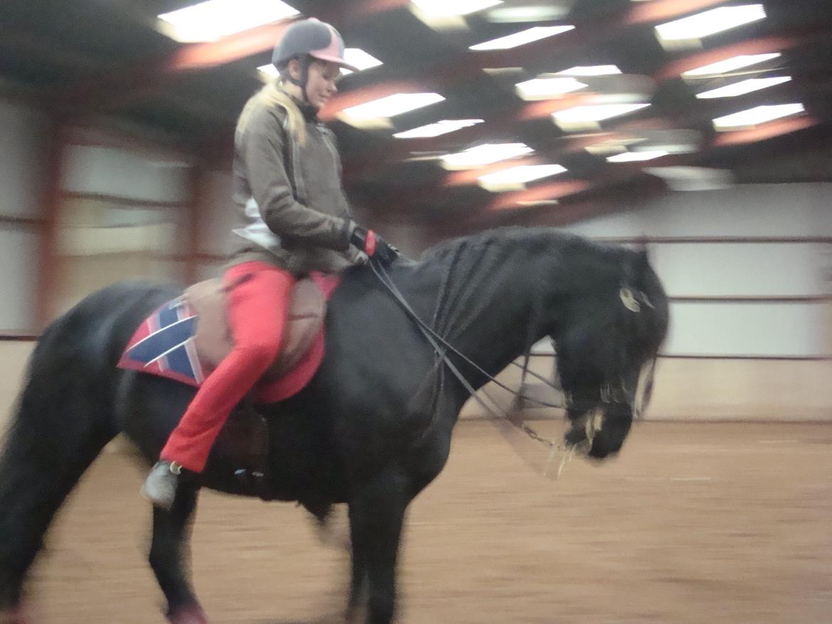 Frieser Zorro - Undervisning v. Michelle Wolf billede 17