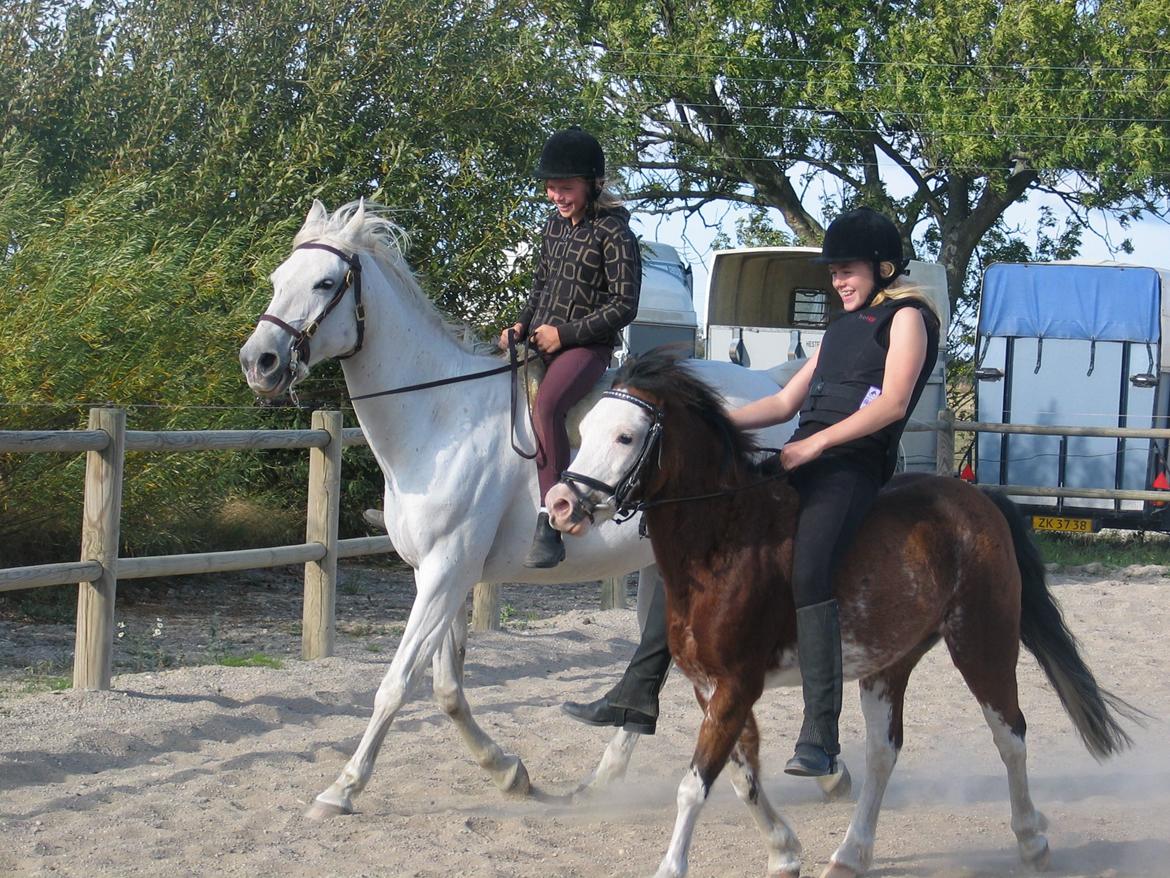 Welsh Pony (sec B) • Simba - Friendship<3 billede 15