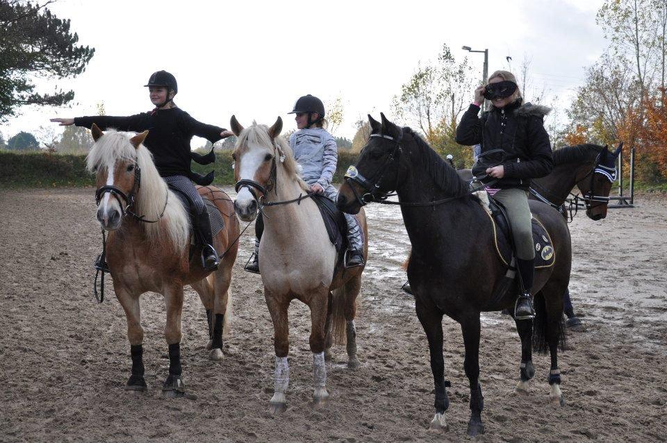 Anden særlig race Pablo - Halloween springstævne.
Frederikke&Stuwart - Emilie&Pablo- Sarah&Badman billede 18