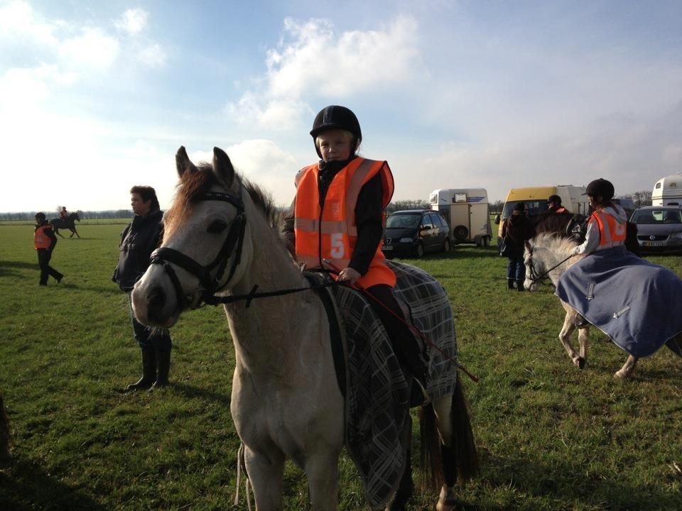 Welsh Partbred (Sec F) TF Soft Eyez - Jessica og soft til deres første stævne. Trec stævne i Padborg. billede 8