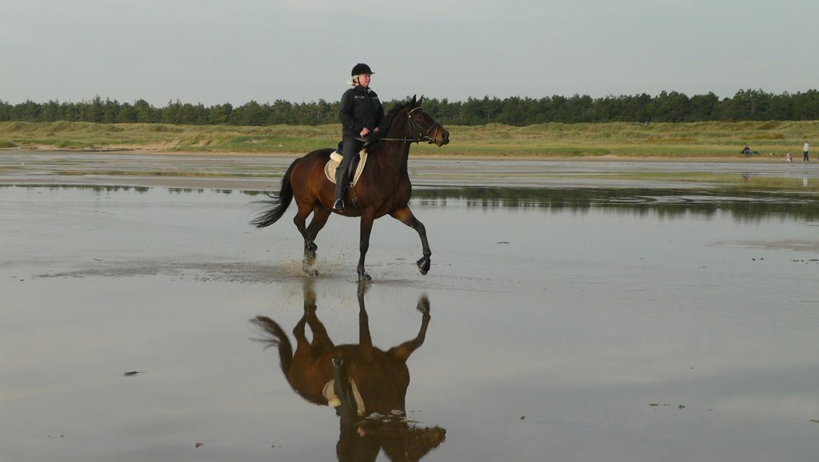 Anden særlig race Nymarks Tristan . - Der skal holdes øje med dragerne. Rømø uge 42- 2012 . billede 9