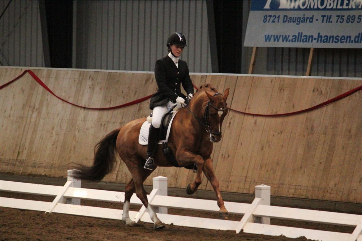 DSP Matthi - Lidt vild er man vel! Min super seje pony til vores sidste landsstævne!
Foto: Maria Mortensen - Mange tak! billede 3