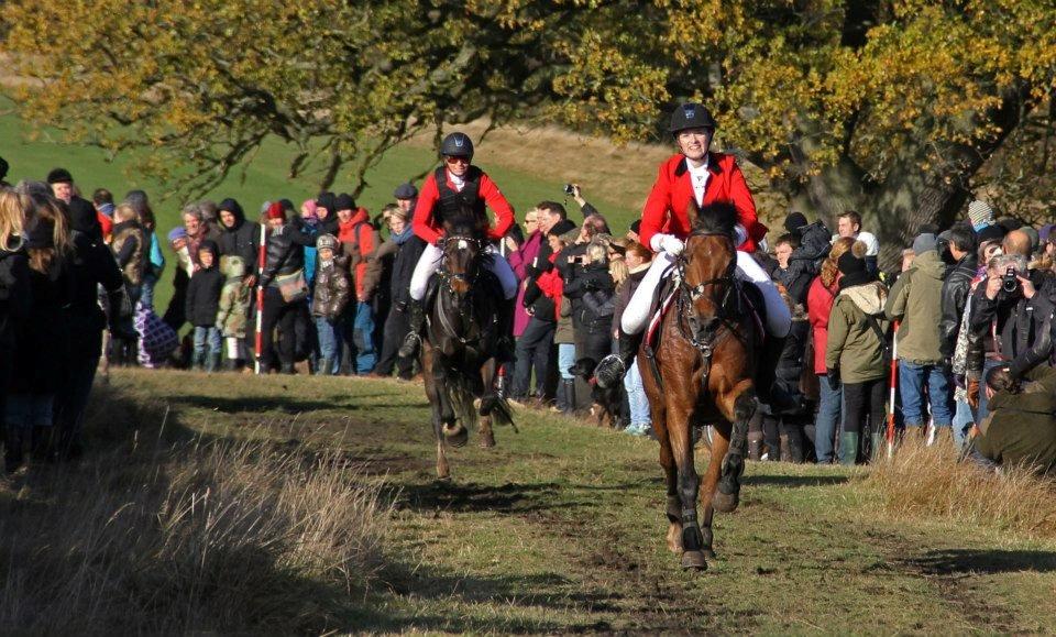 Anden særlig race Michelangelo - Du løb alt hvad du kunne i dag og det var nok:') Nu har du vist ALLE hvad du er bedst til<3 billede 6