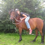 Anden særlig race Hope